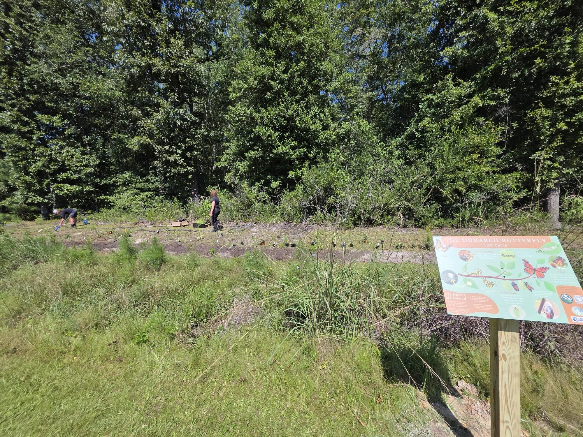 SCWF EcoLeaders: the future of conservation is here!