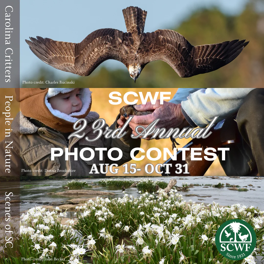 23rd Annual Wildlife Photography Contest