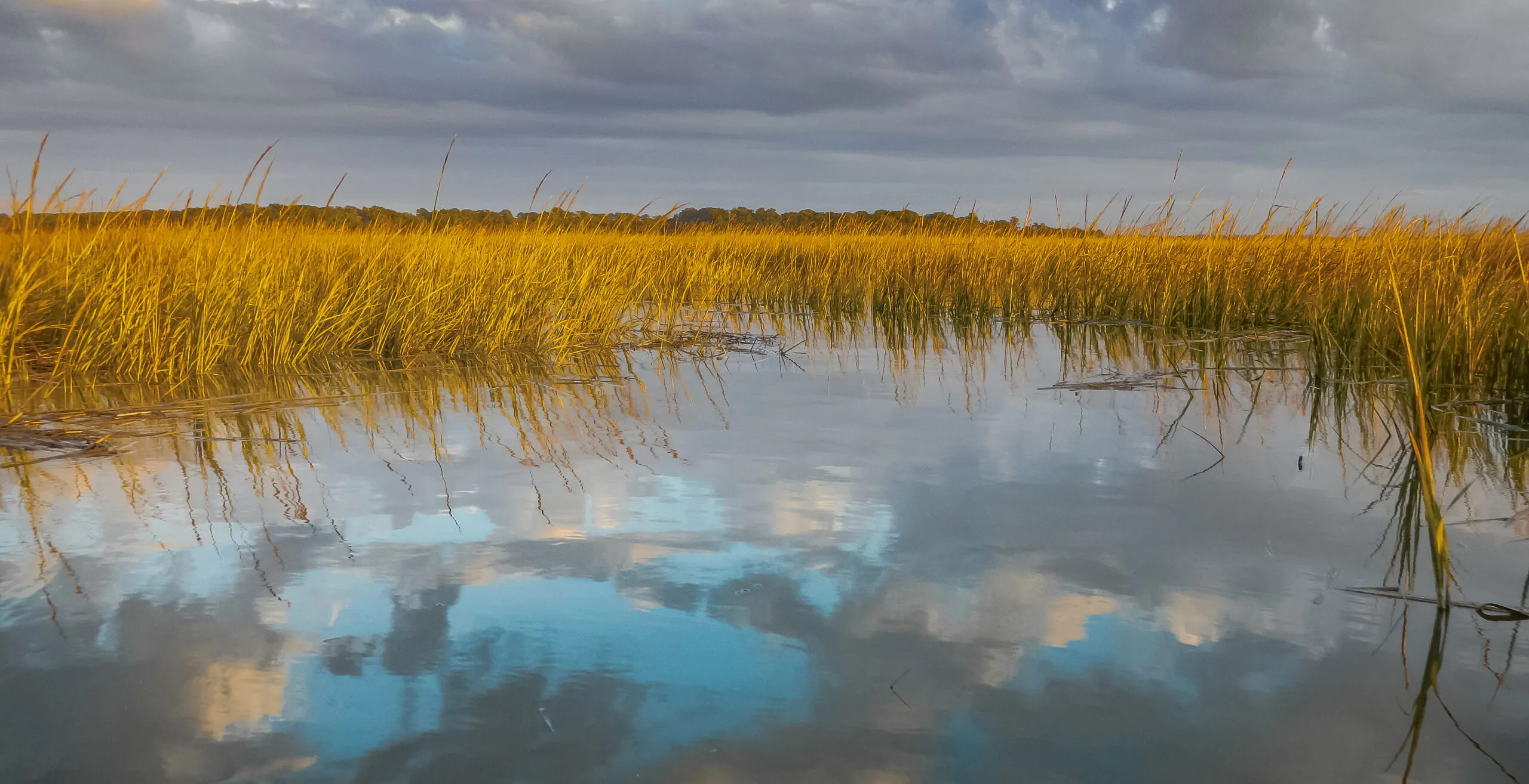 Commentary: The Tragedy of Cainhoy Plantation
