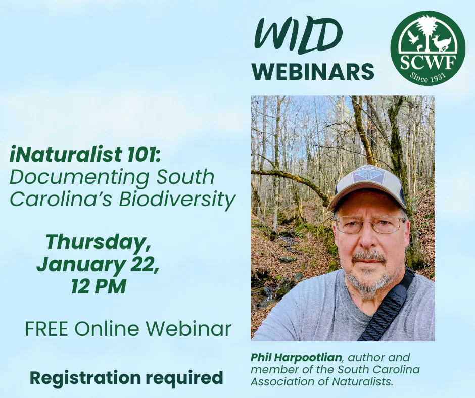 iNaturalist 101: Documenting South Carolina’s Biodiversity