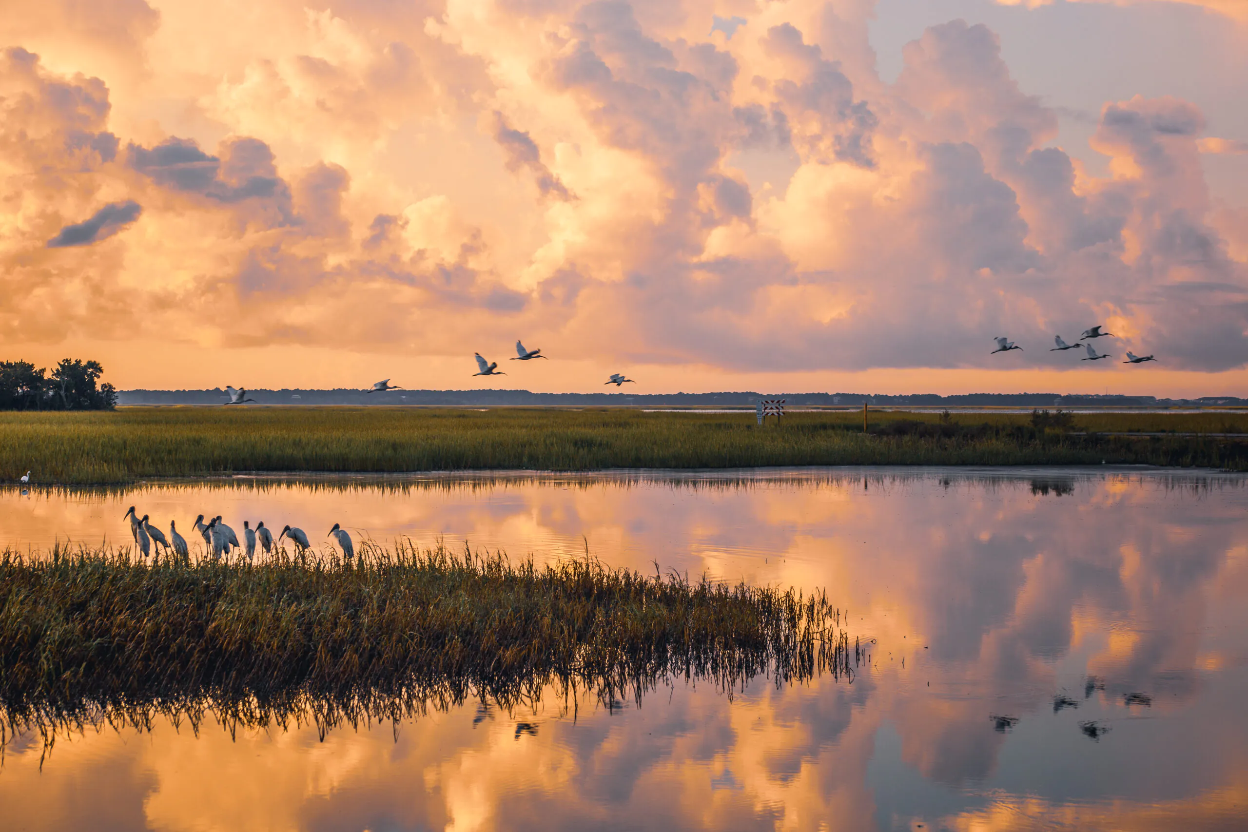 2025 Wildlife Photography Contest Winners Announced