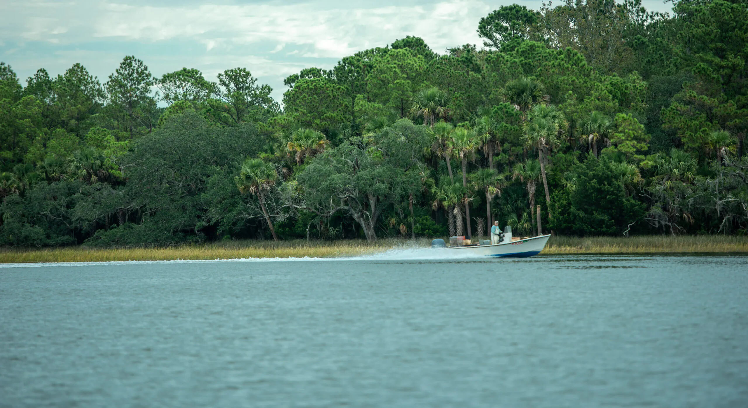 Help us protect the Cainhoy peninsula