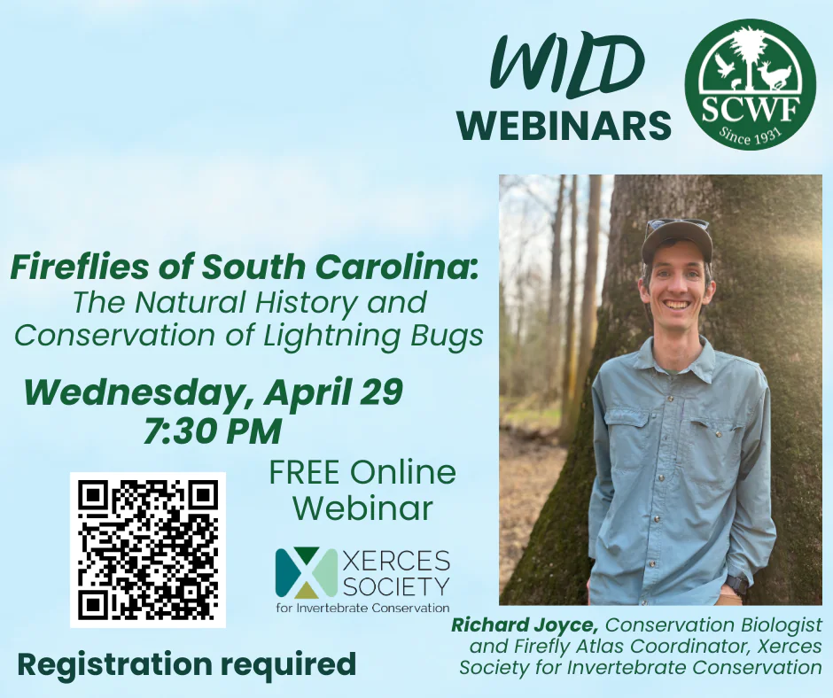Fireflies of South Carolina: The Natural History and Conservation of Lightning Bugs