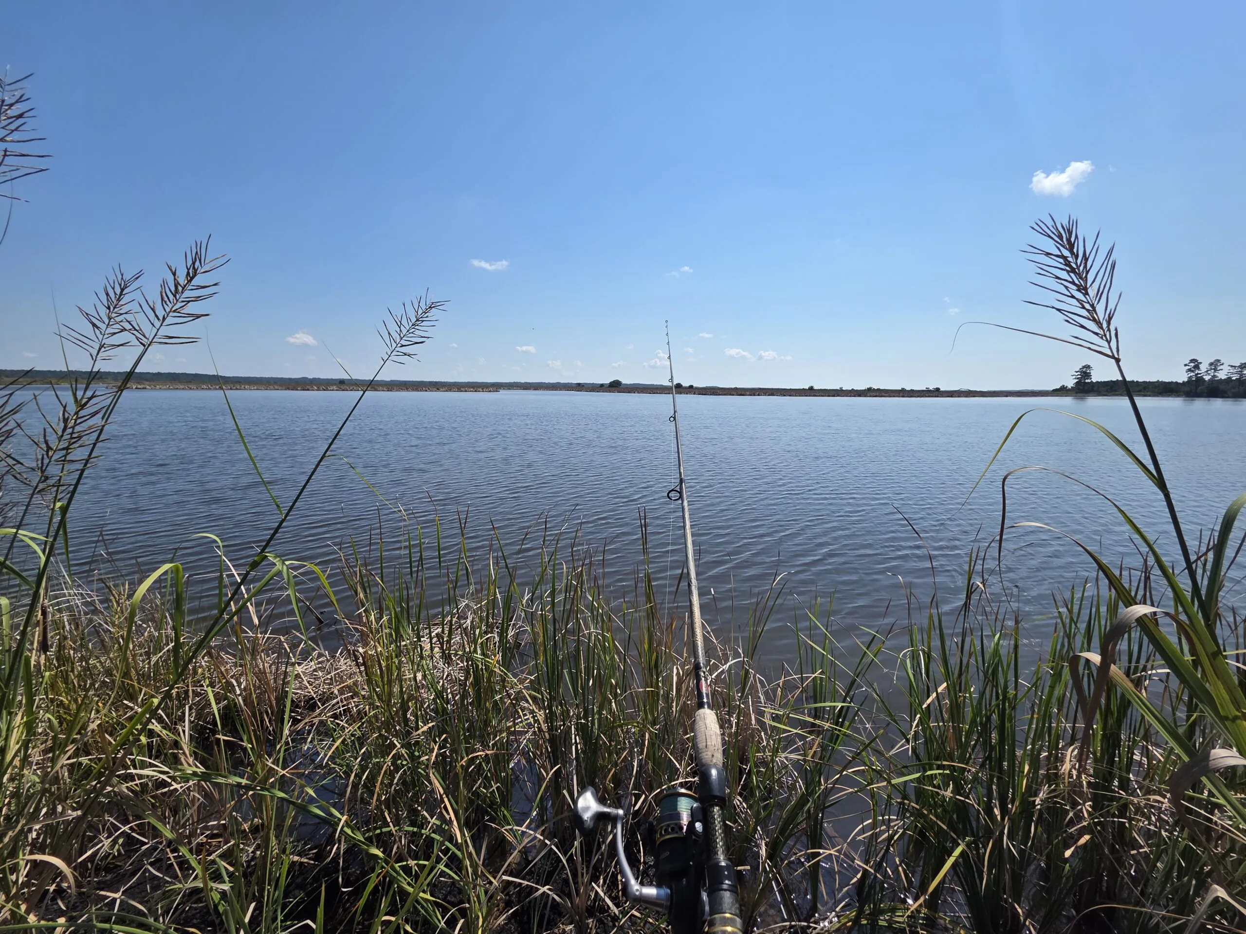 POWR+ Inshore Fishing Day at Nemours Wildlife Foundation