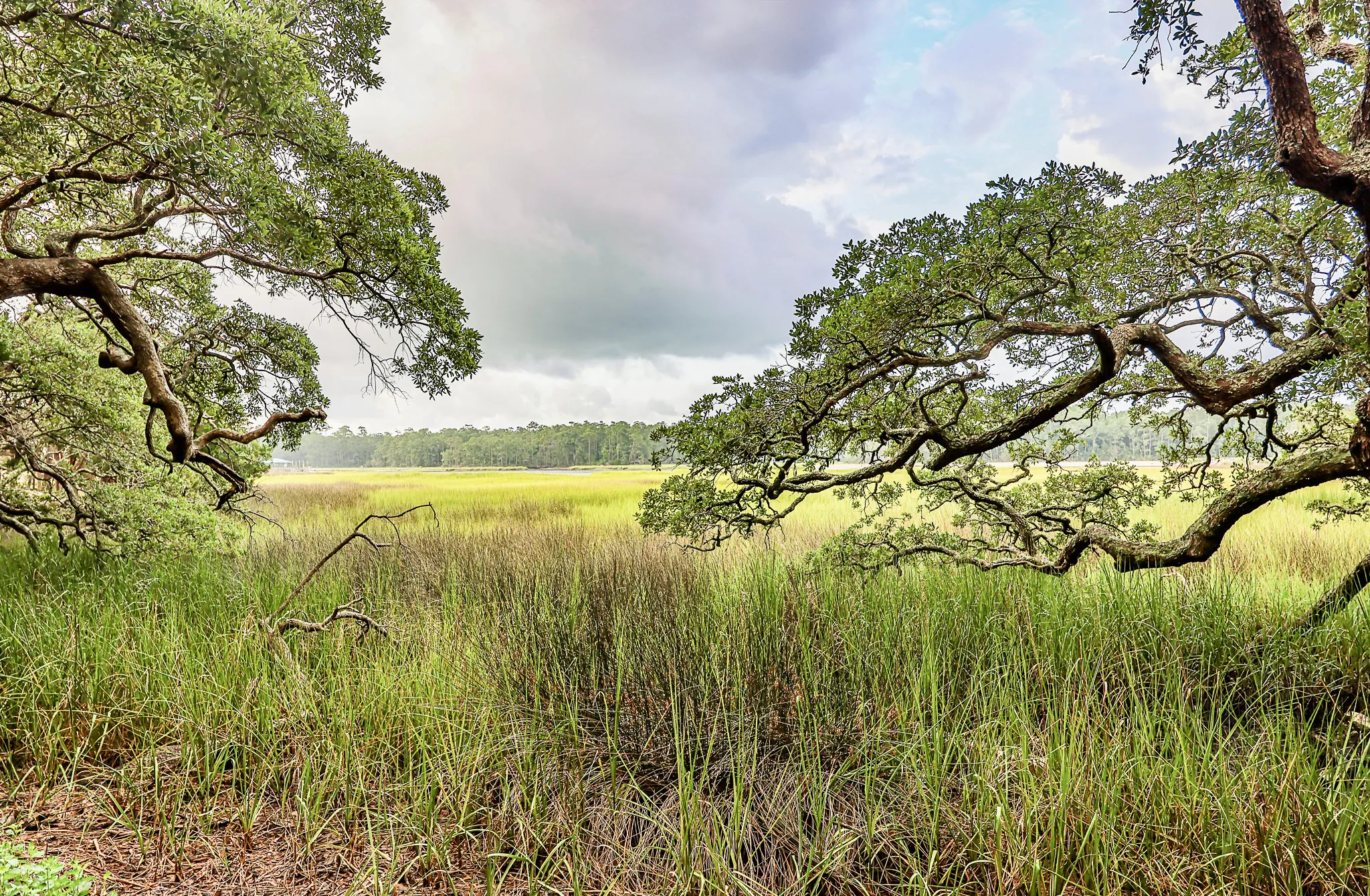 Wetlands 102 Webinar